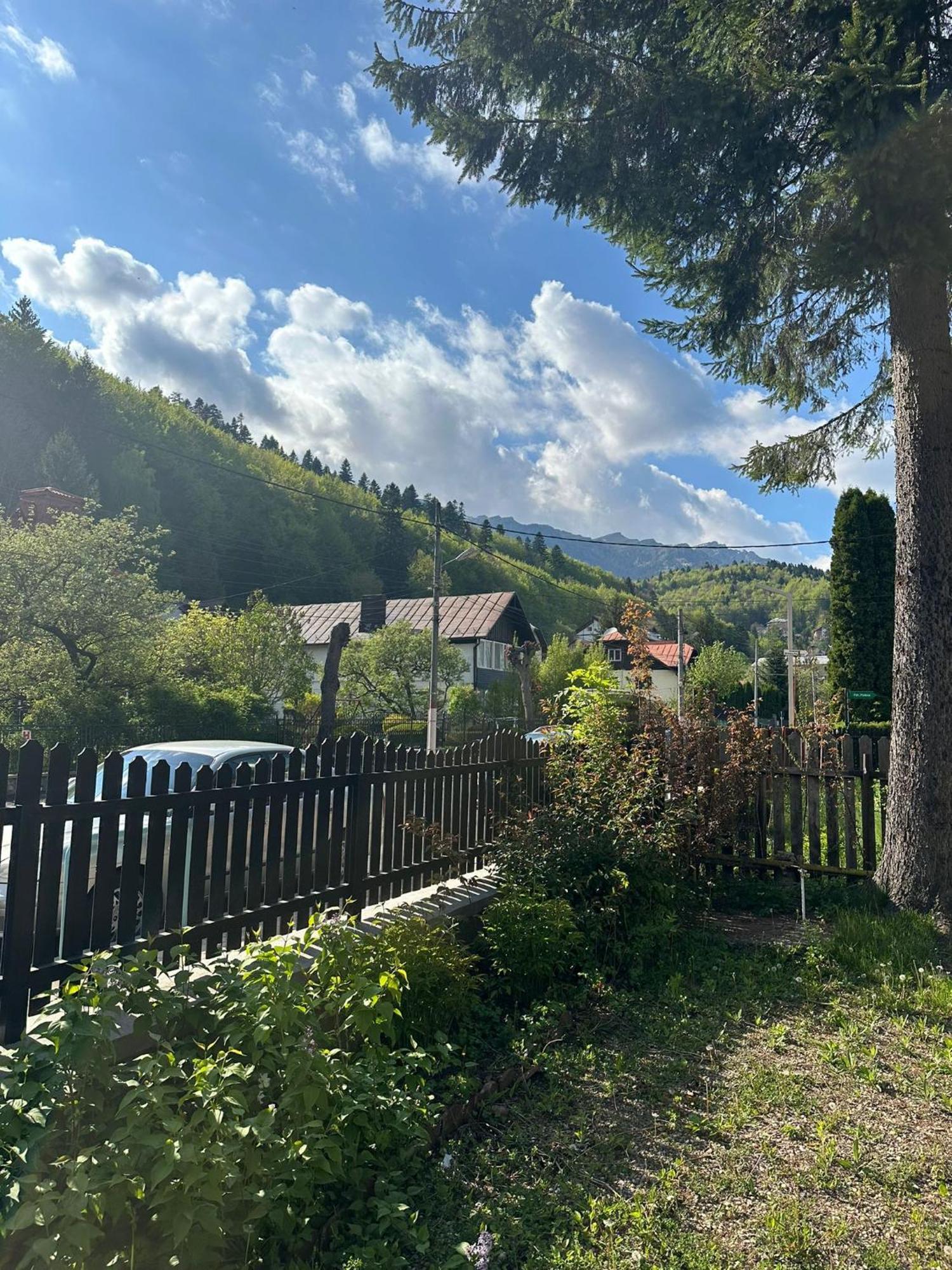Rapsodia Sinaia Bed & Breakfast Екстериор снимка