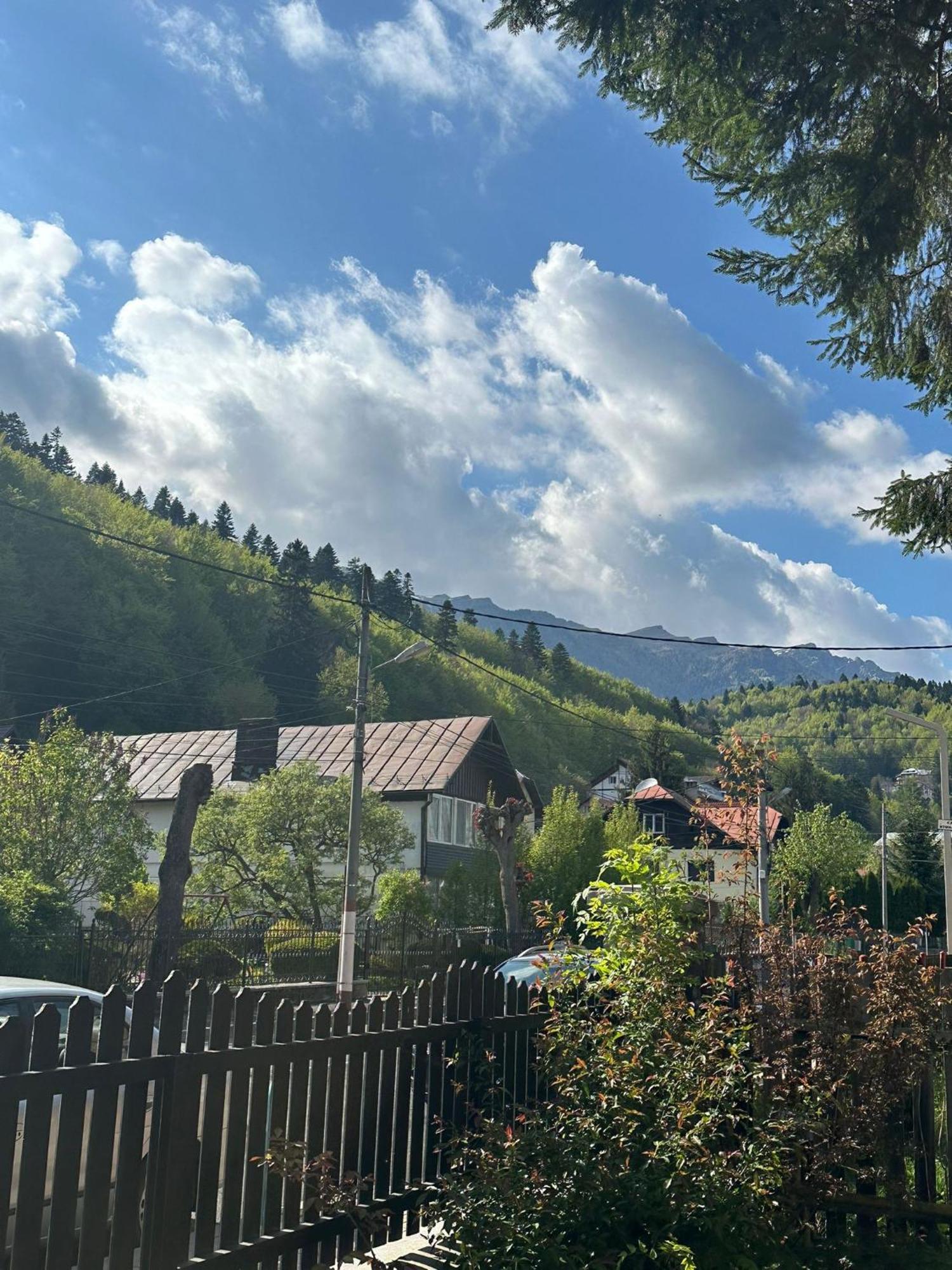 Rapsodia Sinaia Bed & Breakfast Екстериор снимка