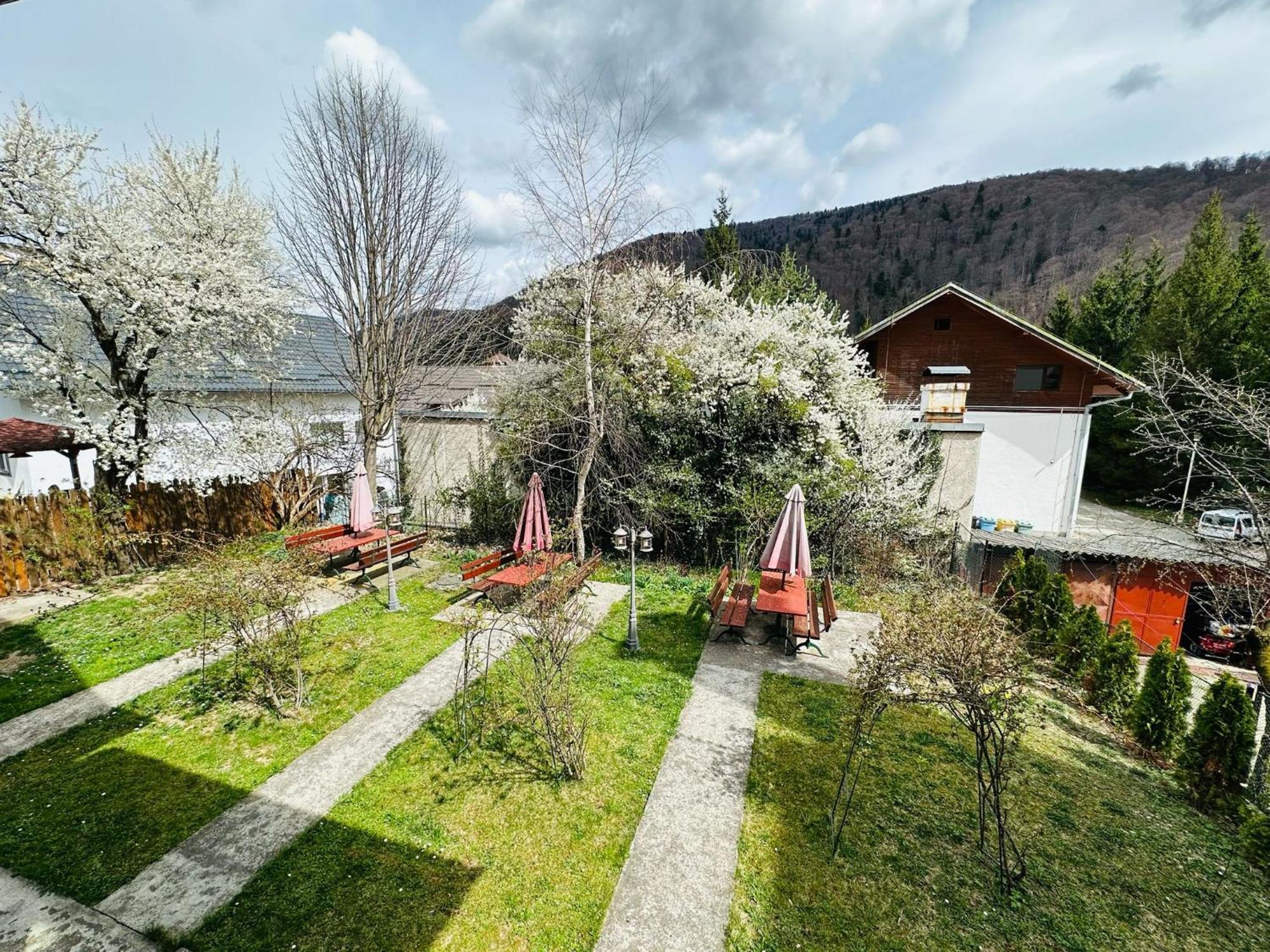 Rapsodia Sinaia Bed & Breakfast Екстериор снимка