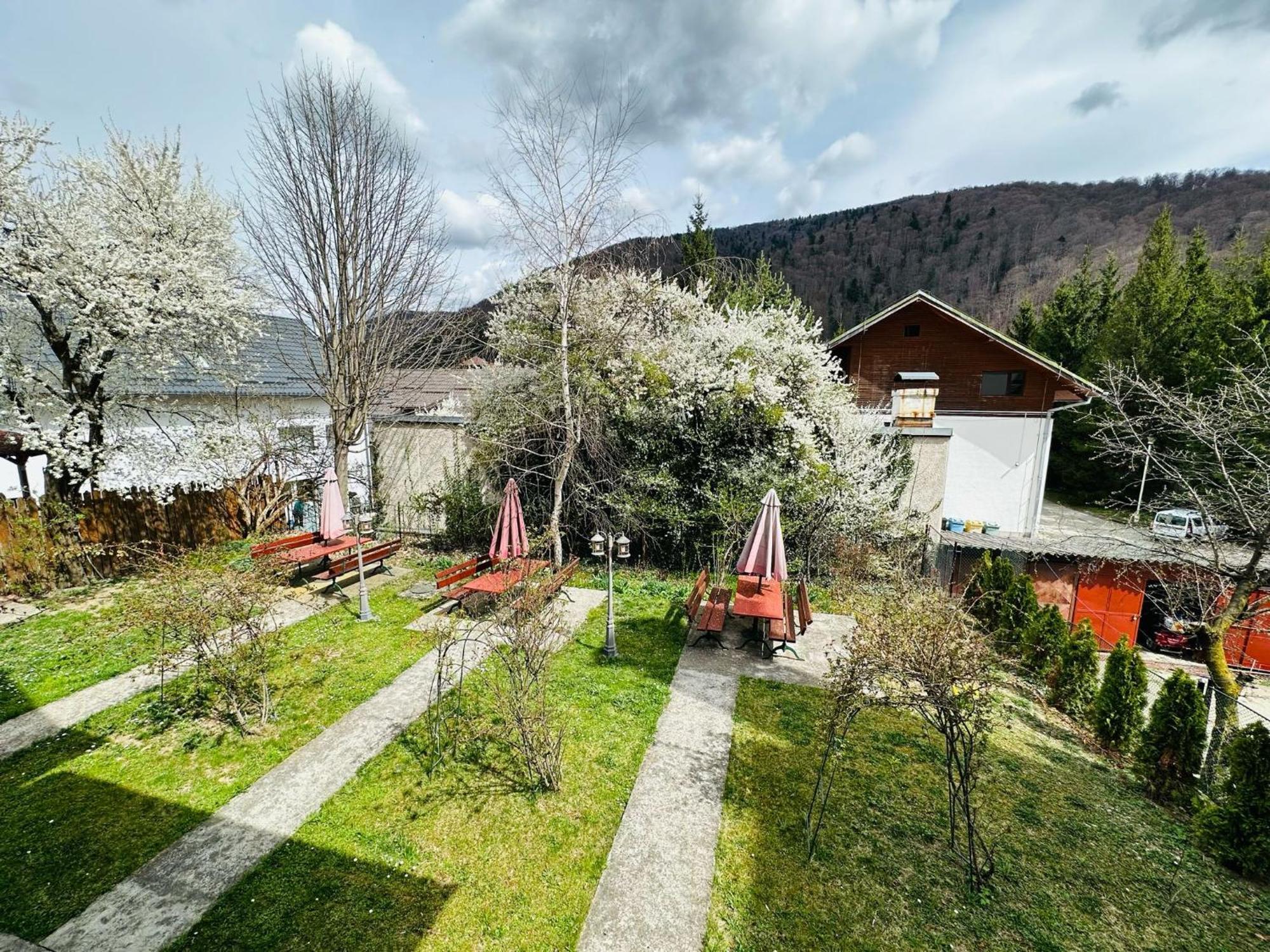 Rapsodia Sinaia Bed & Breakfast Екстериор снимка